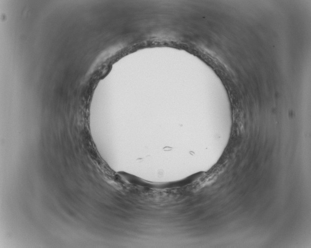 X0000085811207200704131938