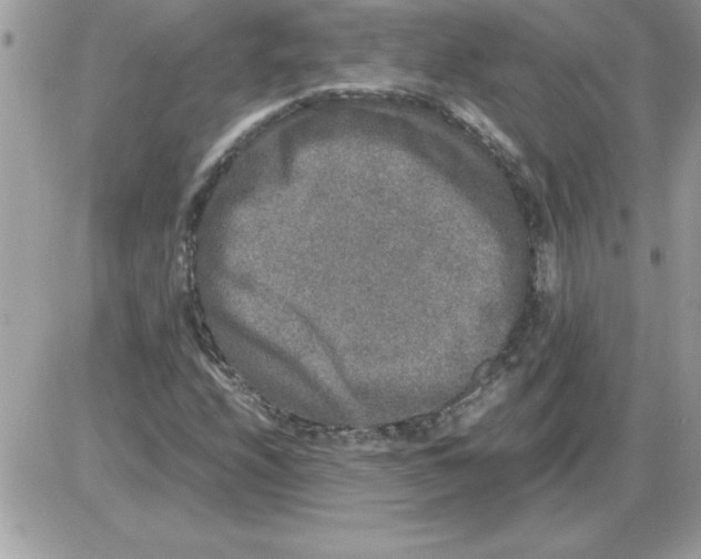 X0000085811208200704131938