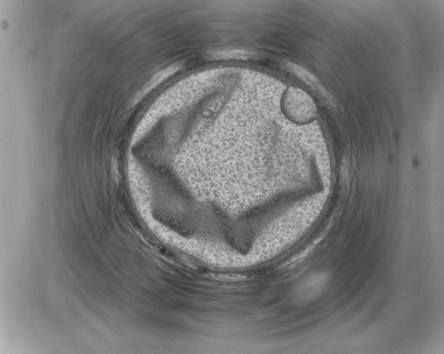 X0000085811209200704131938