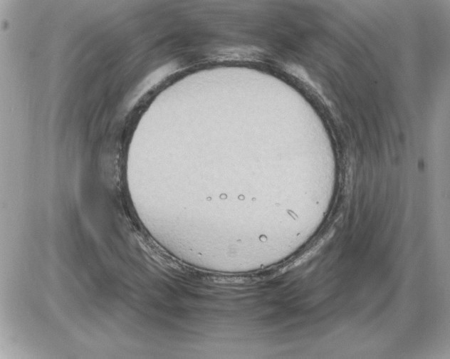 X0000085811211200704131938