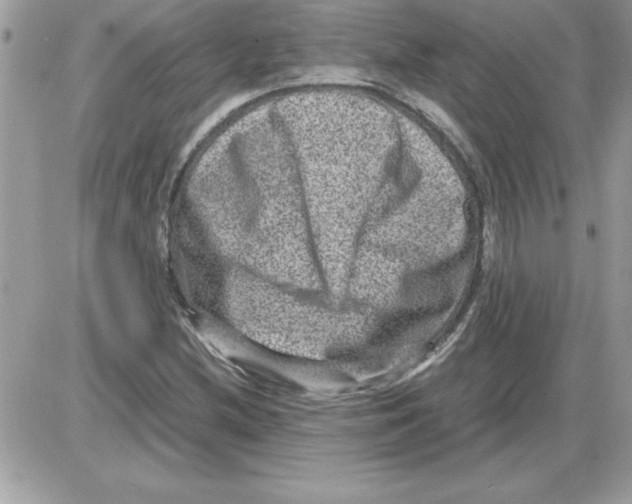 X0000085811212200704131938