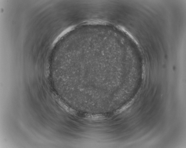 X0000085811213200704131938