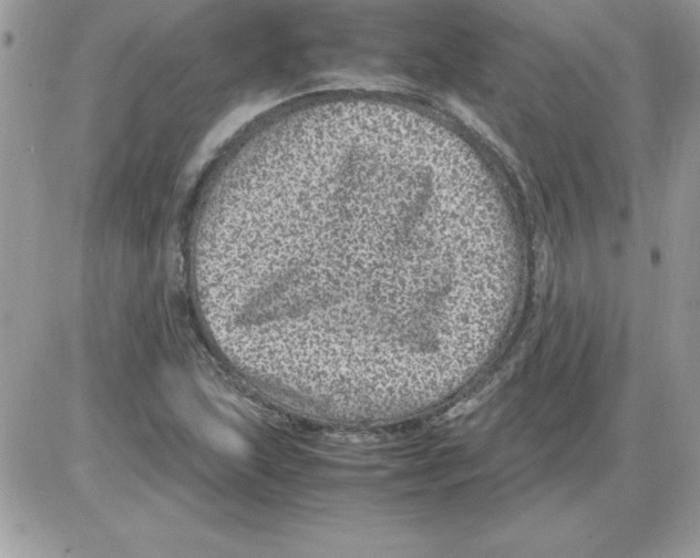 X0000085811215200704131938