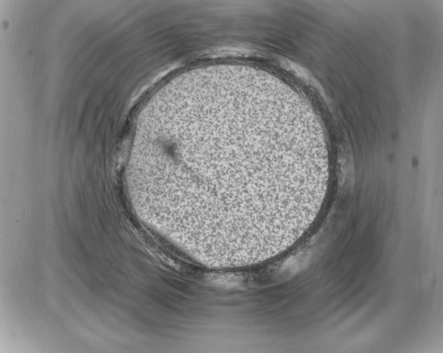 X0000085811217200704131938