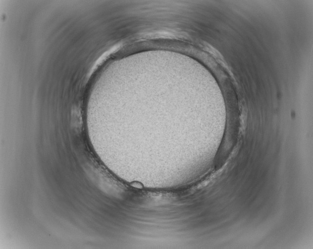 X0000085811218200704131938