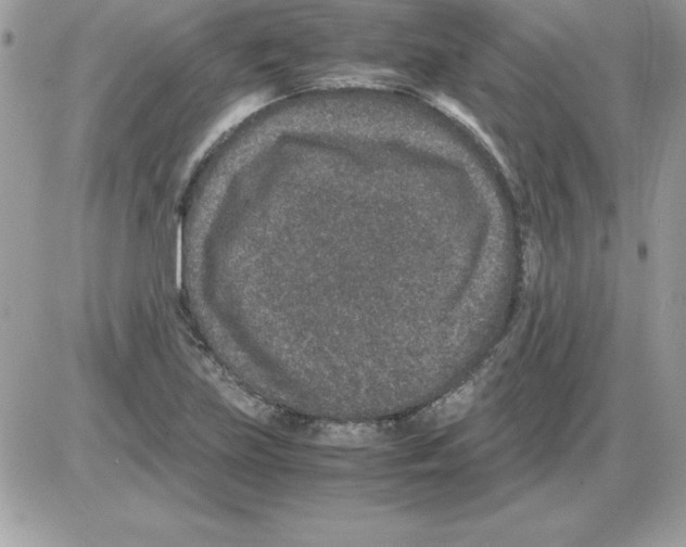 X0000085811219200704131938