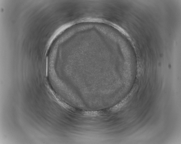 X0000085811223200704131938