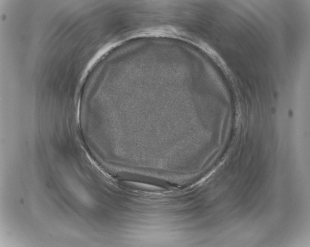 X0000085811224200704131938