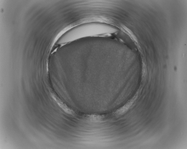 X0000085811226200704131938