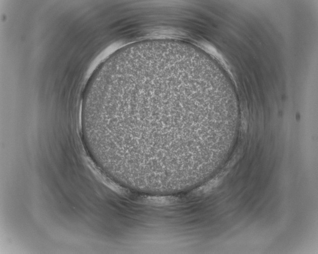 X0000085811227200704131938