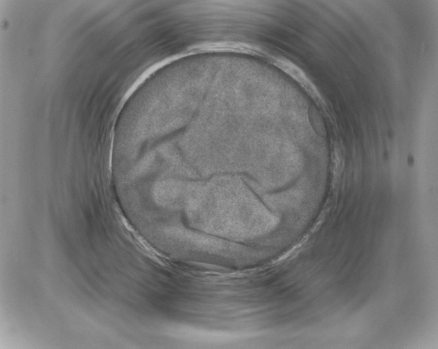 X0000085811228200704131938