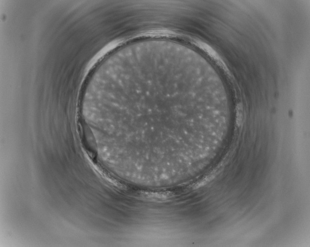 X0000085811229200704131938