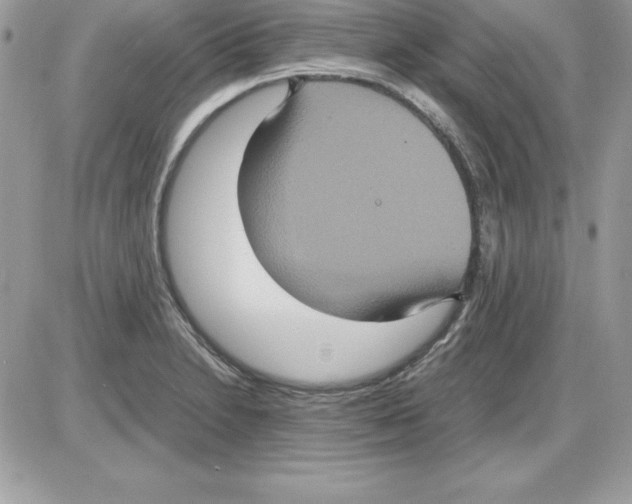 X0000085811230200704131938