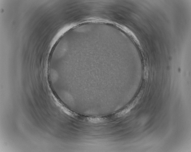 X0000085811231200704131938