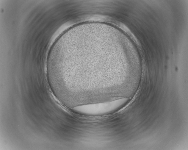 X0000085811232200704131938