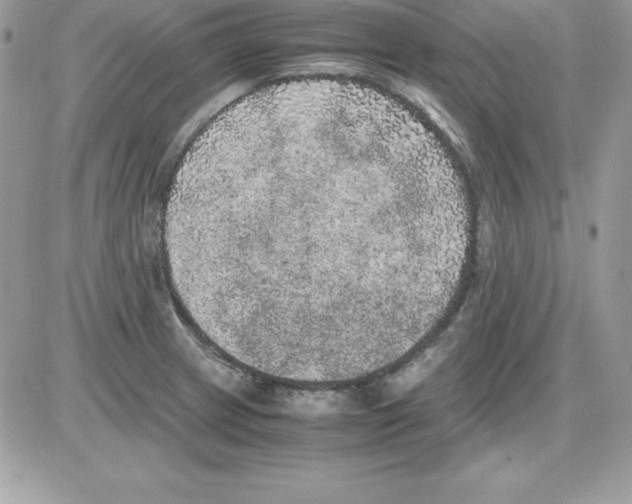 X0000085811233200704131938