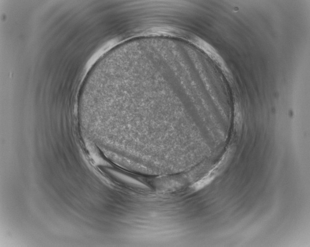 X0000085811234200704131938