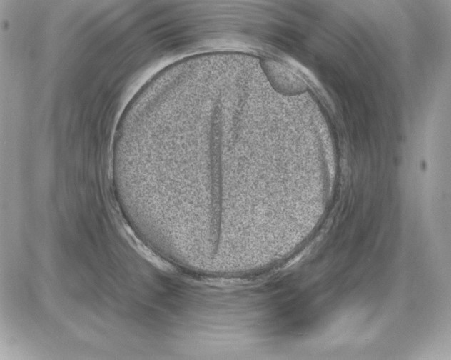 X0000085811236200704131938