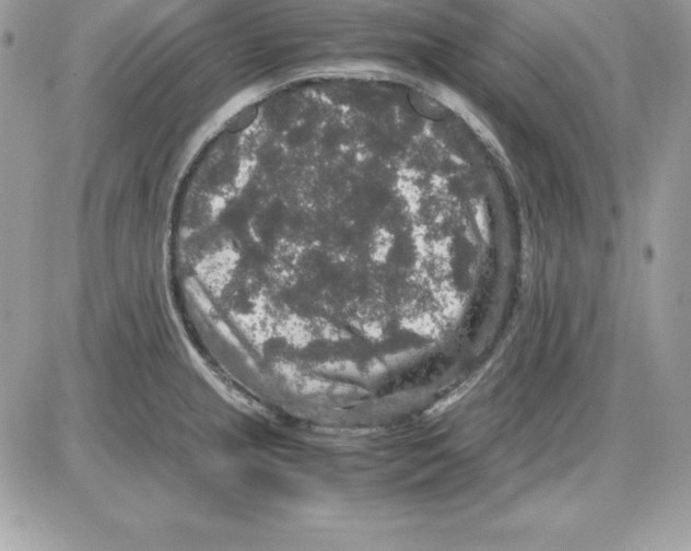 X0000085811237200704131938