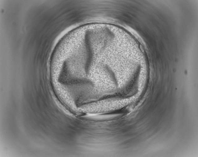 X0000085811238200704131938