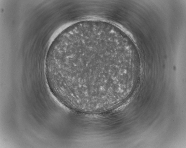 X0000085811239200704131938