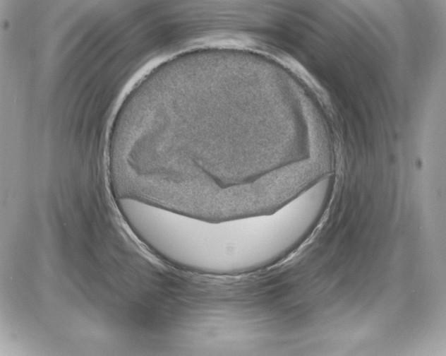 X0000085811240200704131938