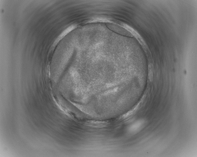 X0000085811241200704131938