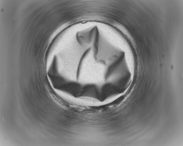 X0000085811242200704131938