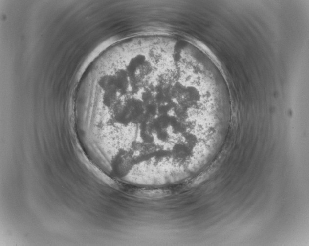 X0000085811243200704131938