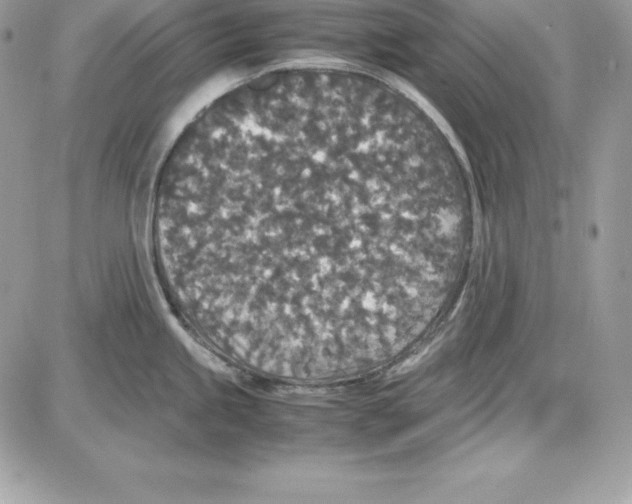 X0000085811245200704131938