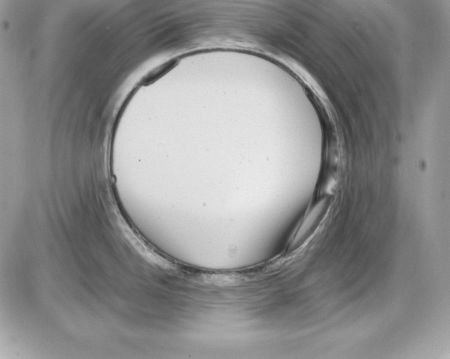 X0000085811246200704131938