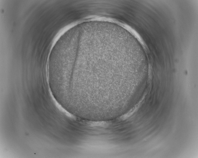 X0000085811247200704131938