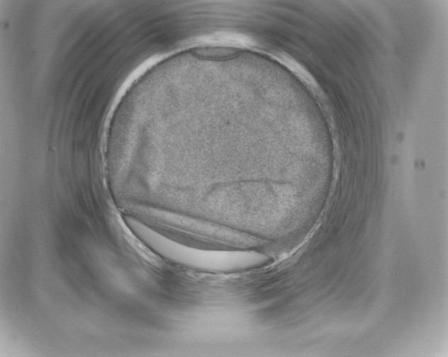 X0000085811248200704131938