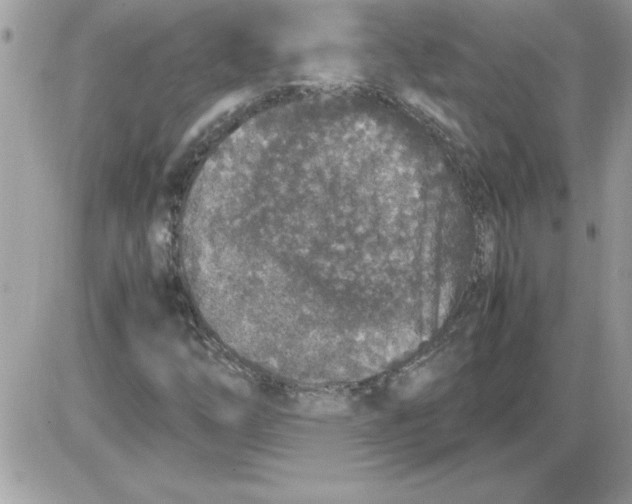 X0000085811254200704131937