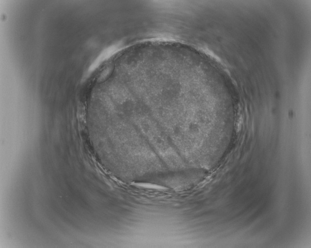 X0000085811255200704131937