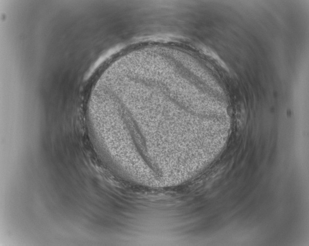 X0000085811256200704131937