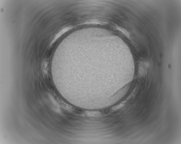 X0000085811258200704131937