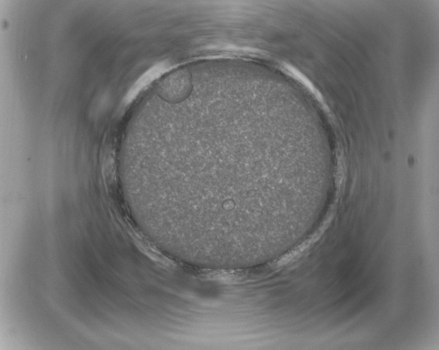 X0000085811259200704131937