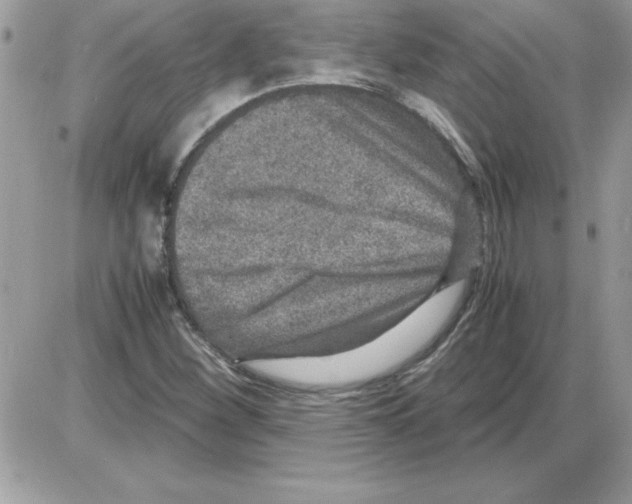 X0000085811260200704131937