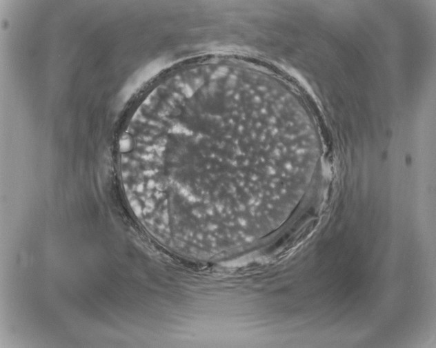 X0000085811263200704131937