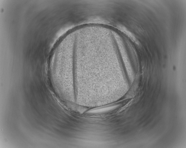 X0000085811264200704131937