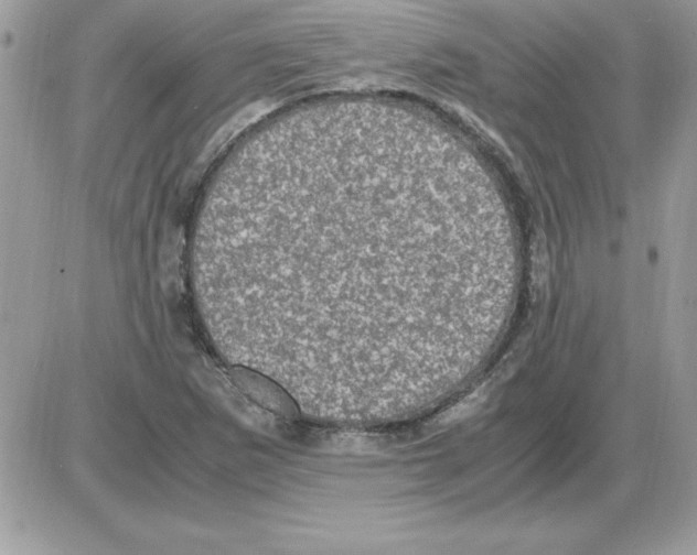 X0000085811265200704131937