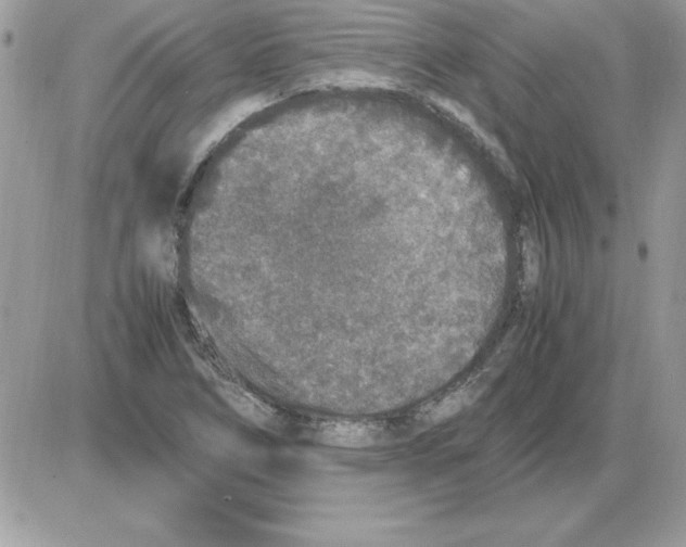 X0000085811266200704131937