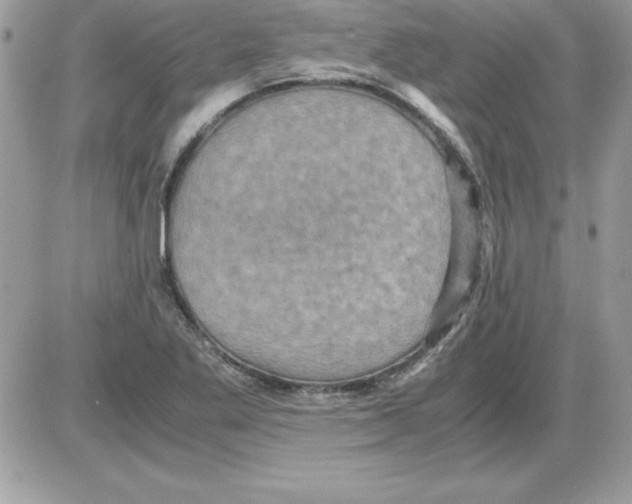 X0000085811269200704131937