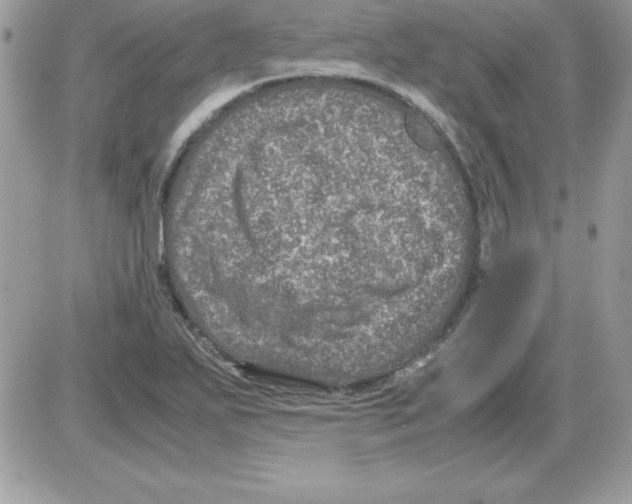 X0000085811271200704131937