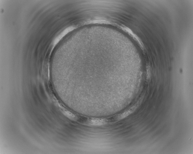 X0000085811274200704131937