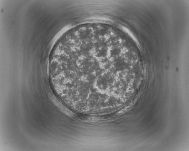 X0000085811275200704131937