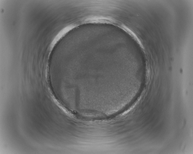 X0000085811277200704131937