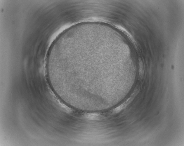 X0000085811278200704131937