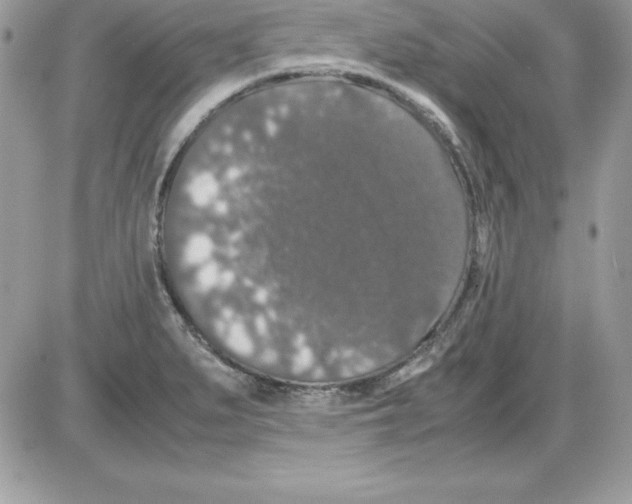 X0000085811279200704131937